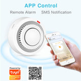 WiFi Smoke Detector Sensor